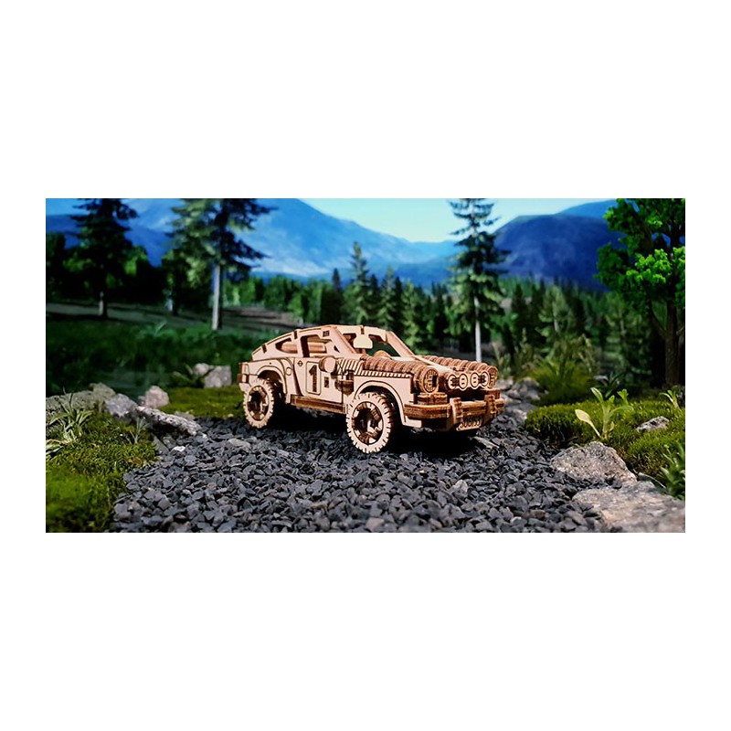 Easy mechanical 3D puzzle for rally carpets because 4 superfast | Scientific-MHD