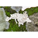 Easy mechanical 3D puzzle for xxl world map model | Scientific-MHD Easy mechanical 3D puzzle for xxl world map model | Scientific-MHD