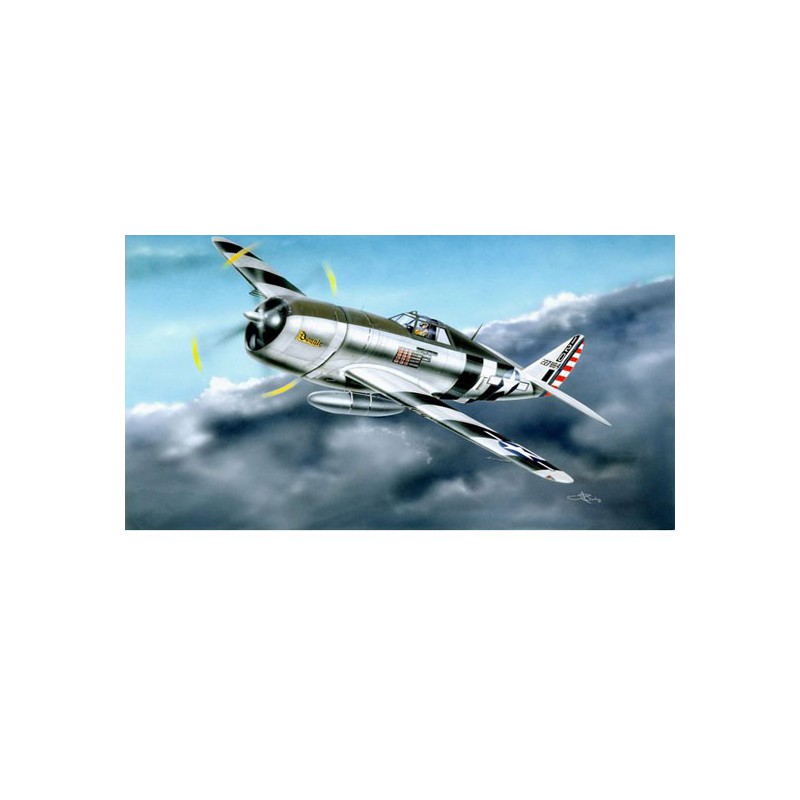 P-47D plastic plane model "Razorback" | Scientific-MHD