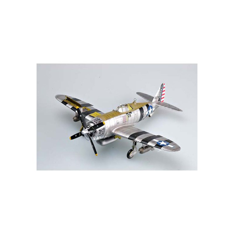 P-47D plastic plane model "Razorback" | Scientific-MHD