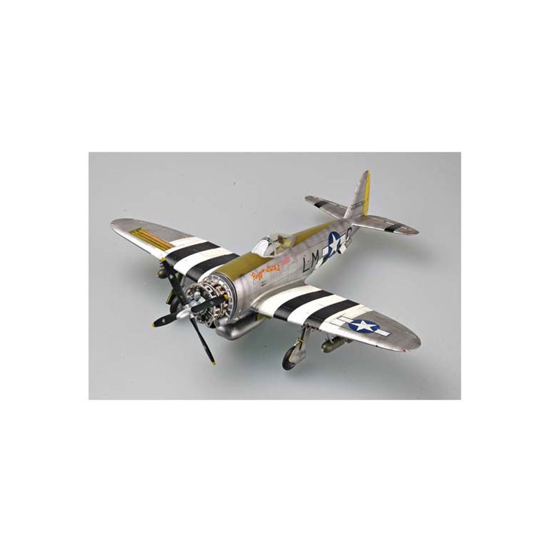 P-47D plastic plane model "Dorsal fine" | Scientific-MHD