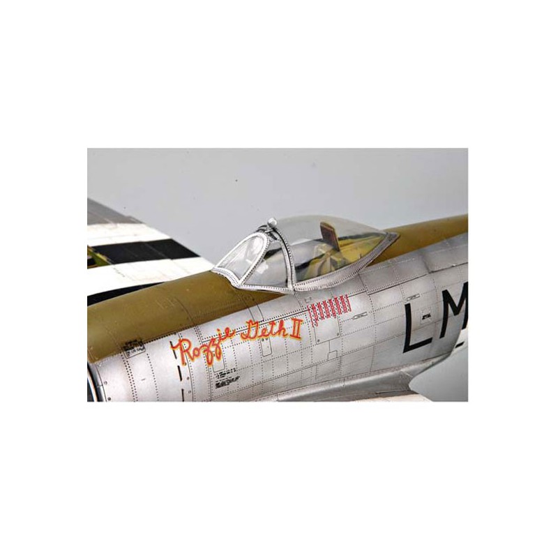 P-47D plastic plane model "Dorsal fine" | Scientific-MHD