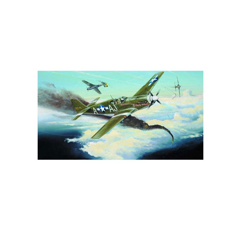 P-51 B plastic plane model | Scientific-MHD