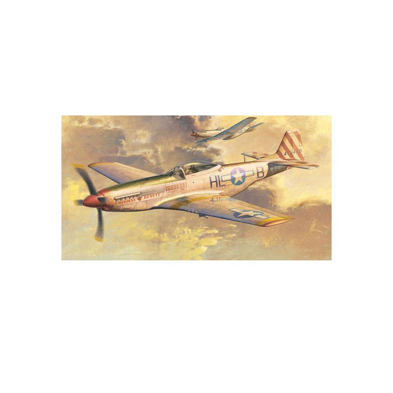 P-51 D Mustang plastic plane model | Scientific-MHD