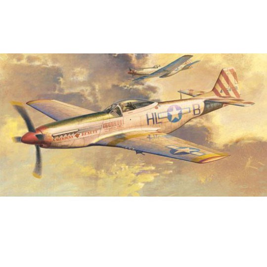 P-51 D Mustang plastic plane model | Scientific-MHD