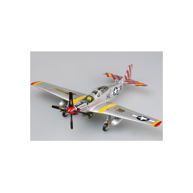 P-51 D Mustang plastic plane model | Scientific-MHD