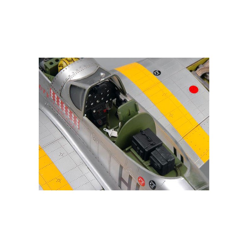 P-51 D Mustang plastic plane model | Scientific-MHD