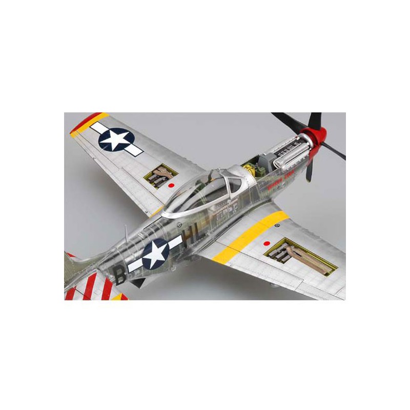 P-51 D Mustang plastic plane model | Scientific-MHD