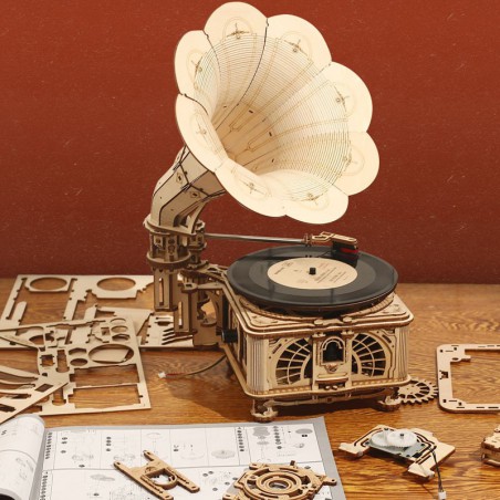 Intermediate Mechanical 3D puzzle for model the electric gramophone | Scientific-MHD Intermediate Mechanical 3D puzzle for model the electric gramophone | Scientific-MHD