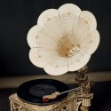 Intermediate Mechanical 3D puzzle for model the electric gramophone | Scientific-MHD Intermediate Mechanical 3D puzzle for model the electric gramophone | Scientific-MHD