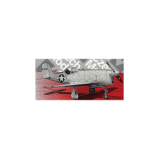 Plastic plane model XP-77 1/48 Plastic plane model XP-77 1/48 | Scientific-MHD