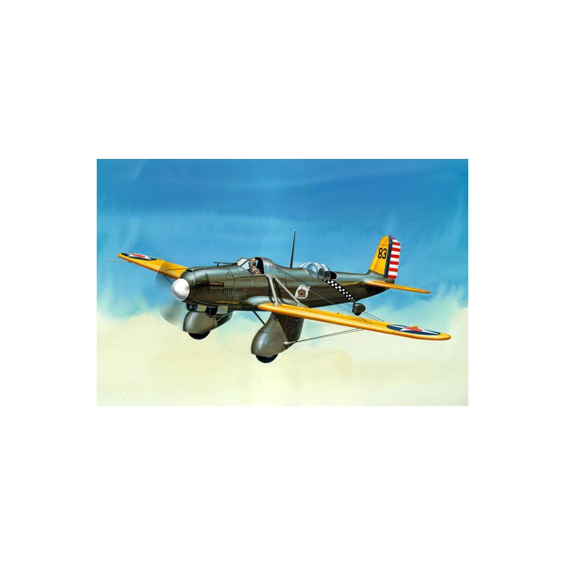 Curtiss plastic plane model A-8 Shrike 1/48 | Scientific-MHD