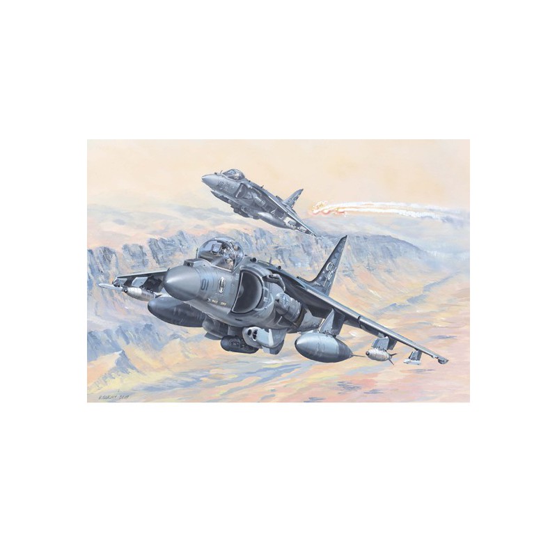 Plastic plane model AV-8B Harrier II 1/18 | Scientific-MHD