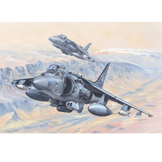 Plastic plane model AV-8B Harrier II 1/18 Plastic plane model AV-8B Harrier II 1/18 | Scientific-MHD