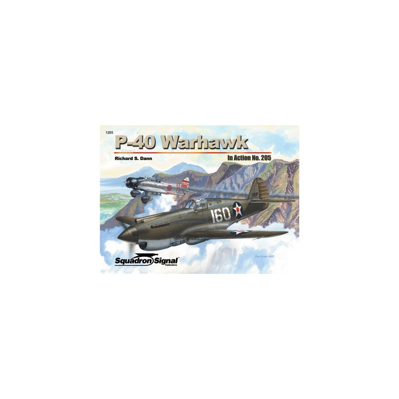 Book P-40 Warhawk in Action | Scientific-MHD