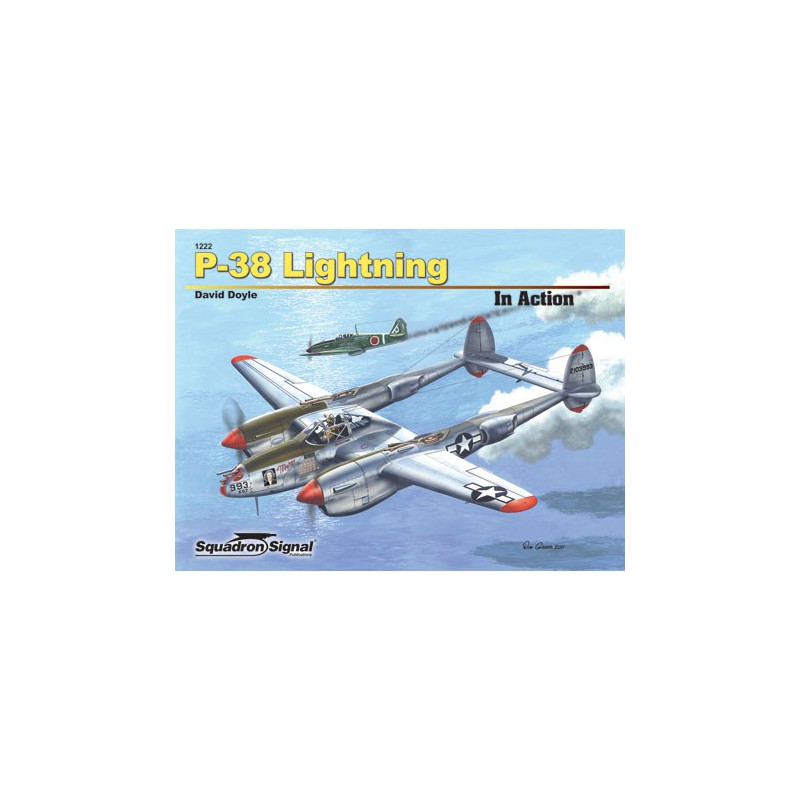 Book P-38 Lightning in Action | Scientific-MHD
