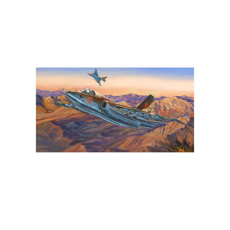 SU-25 plastic plane model Frogfoot has | Scientific-MHD