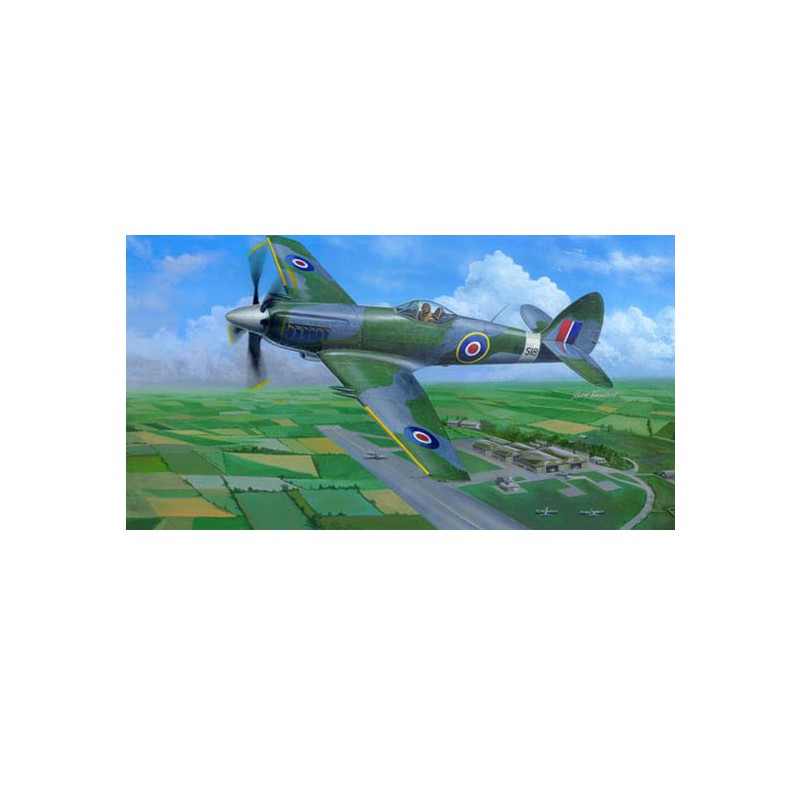 Plastic plastic model supermarine spiteful f.mk.14 | Scientific-MHD