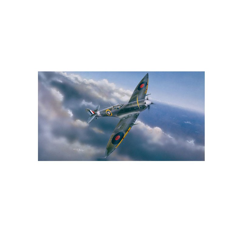Plastic plastic model spitfire mk.vi | Scientific-MHD