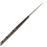 Brushes for Marty 3/0 Marte Brush Model | Scientific-MHD