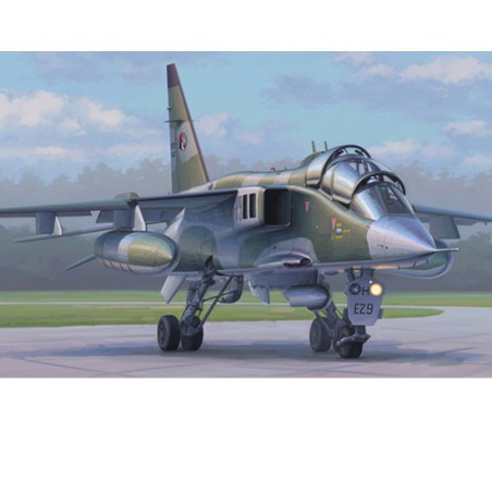 Jaguar e two -seater plastic model 1/72 | Scientific-MHD Jaguar e two -seater plastic model 1/72 | Scientific-MHD