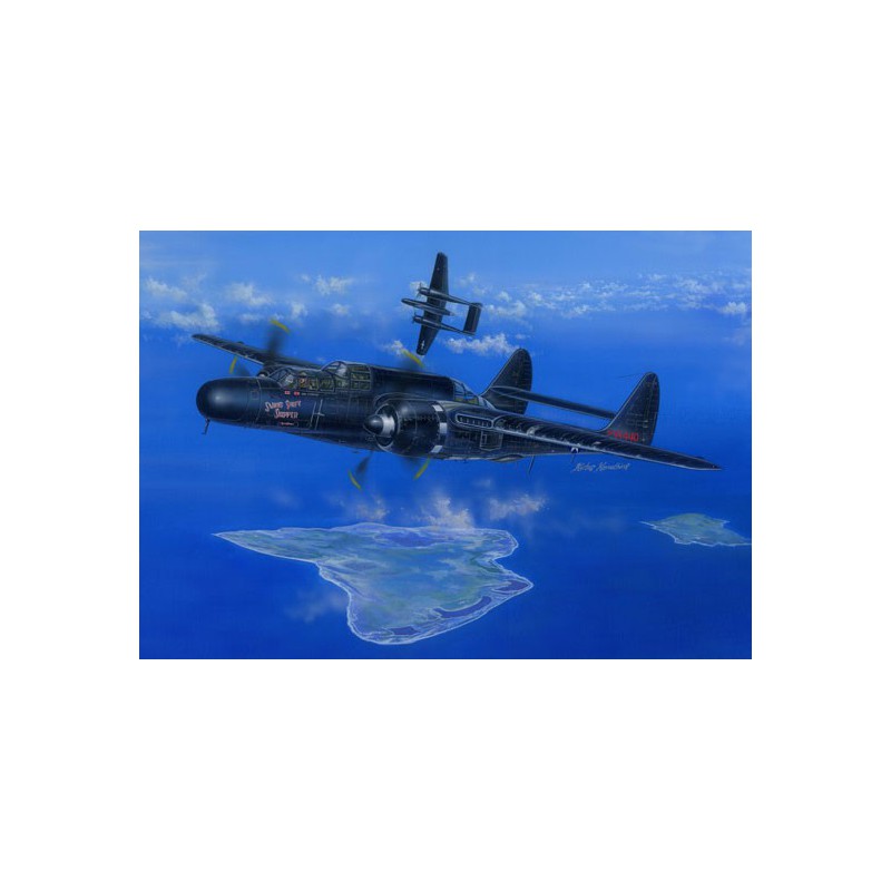 US plastic plane model P-61B Black Widow 1/48 | Scientific-MHD