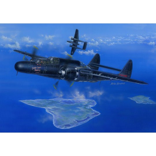 US plastic plane model P-61B Black Widow 1/48 US plastic plane model P-61B Black Widow 1/48 | Scientific-MHD