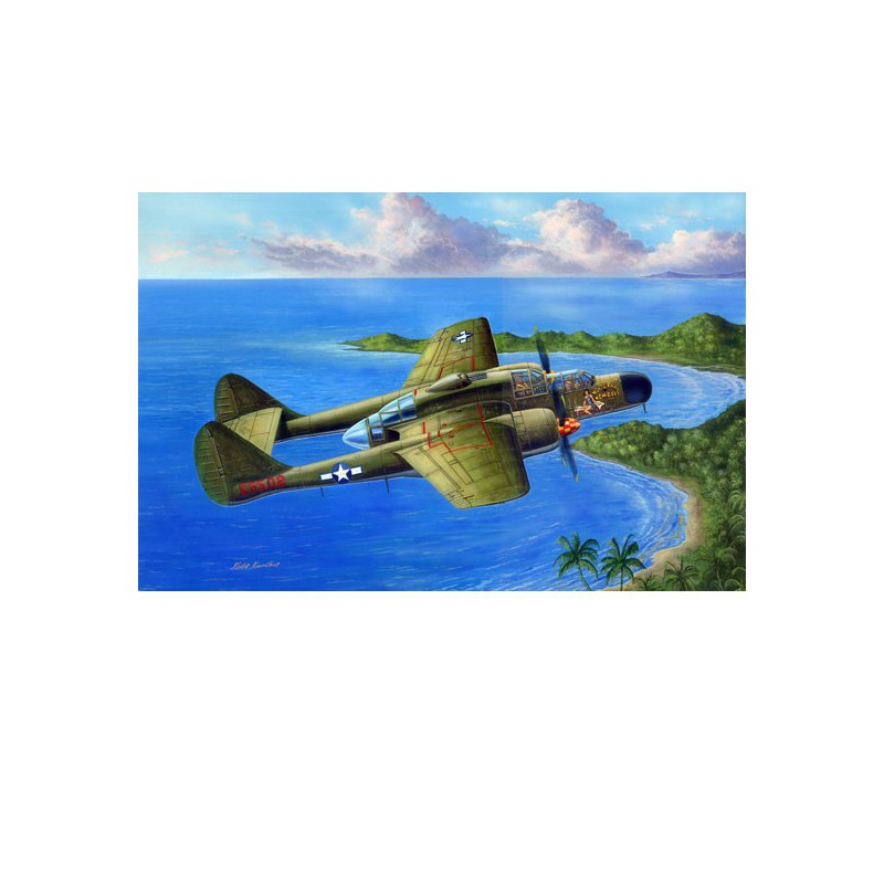 US P-61A plastic plane model Widow 1/48 | Scientific-MHD