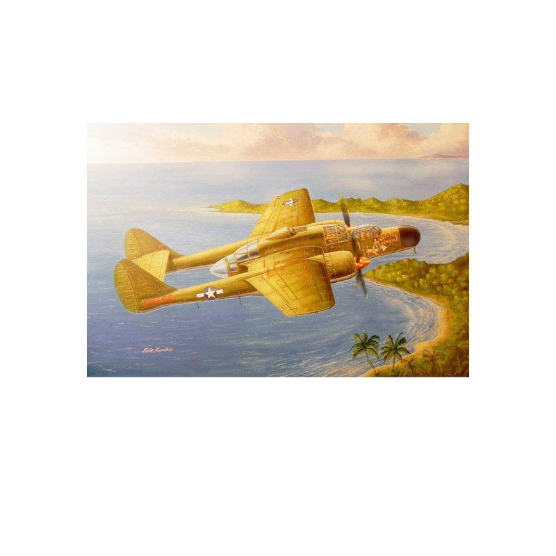 US P-61A plastic plane model Widow 1/48 | Scientific-MHD