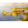 US P-61A plastic plane model Widow 1/48 | Scientific-MHD