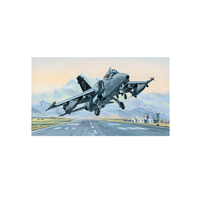 AMX Ground Attack A plastic plane model A. 1/48 | Scientific-MHD