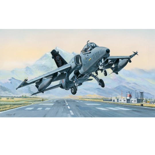 AMX Ground Attack A plastic plane model A. 1/48 AMX Ground Attack A plastic plane model A. 1/48 | Scientific-MHD