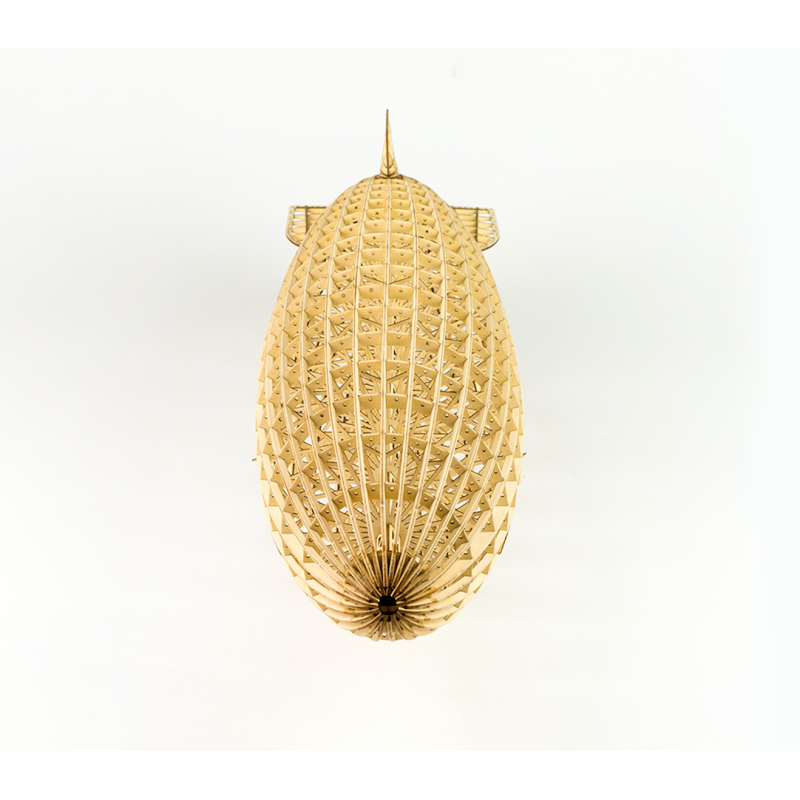 Hindenburg static wooden airplane 1/408 | Scientific-MHD