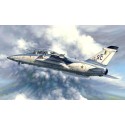 A-1B plastic plane model 1/48 | Scientific-MHD A-1B plastic plane model 1/48 | Scientific-MHD