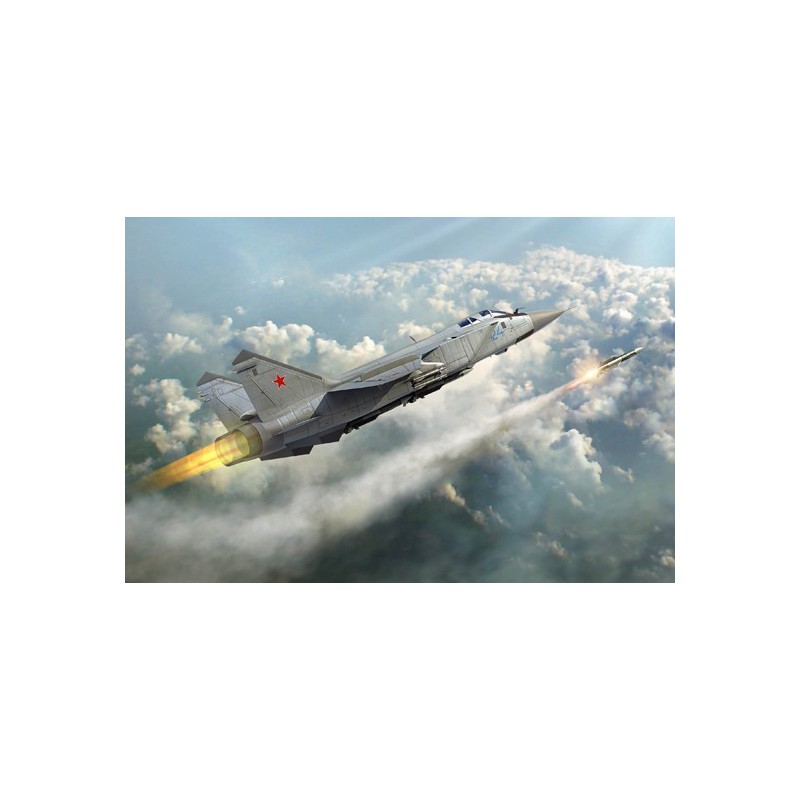 MIG plastic plane model - 31 Foxhound 1/48 | Scientific-MHD