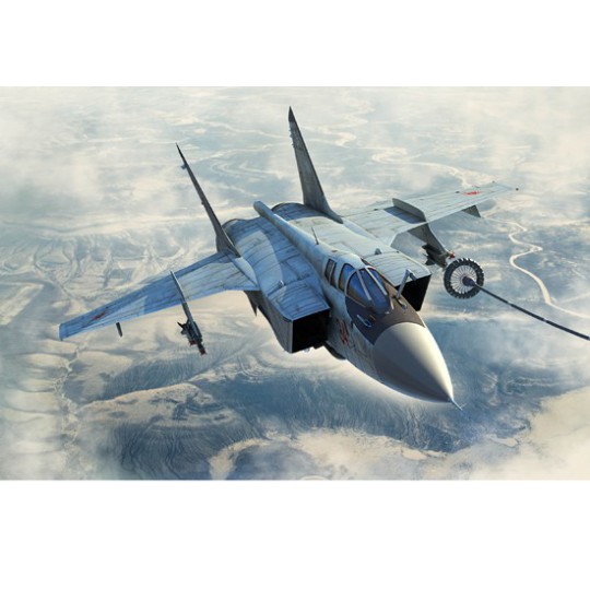 MIG 31B/BM Foxhound plastic plane model 1*48 MIG 31B/BM Foxhound plastic plane model 1*48 | Scientific-MHD
