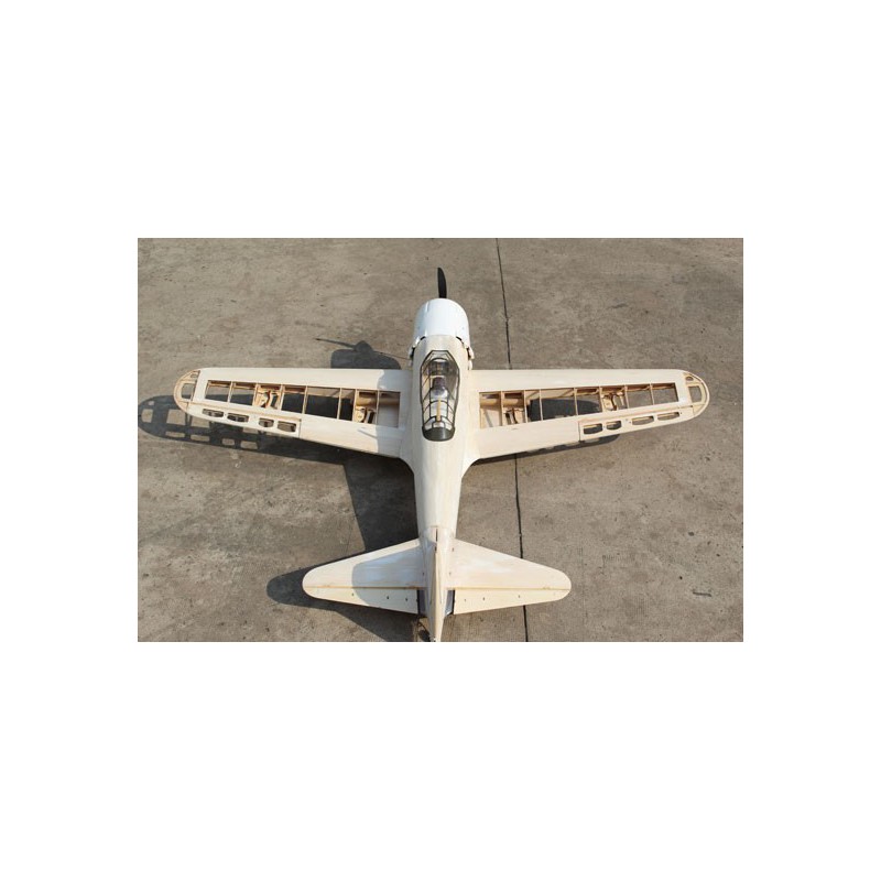 Draft thermal aircraft A6M2 Zero Master Scale Kit Edition | Scientific-MHD