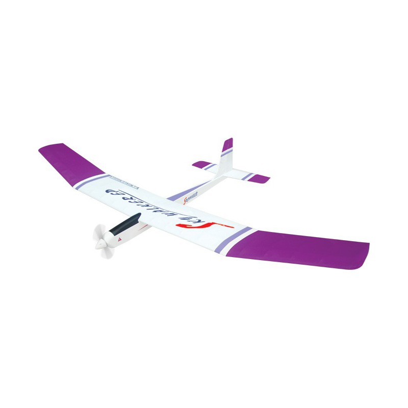 Sky Walker Eparf radio -controlled electric aircraft | Scientific-MHD