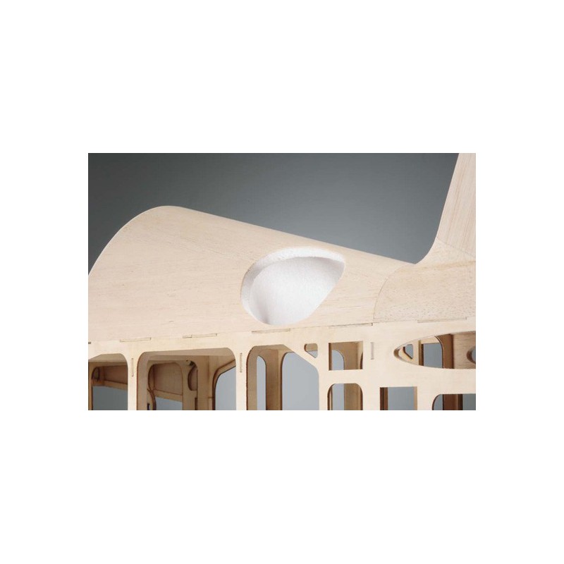 Radio thermal airplane Yak 54160 3D-Arf | Scientific-MHD