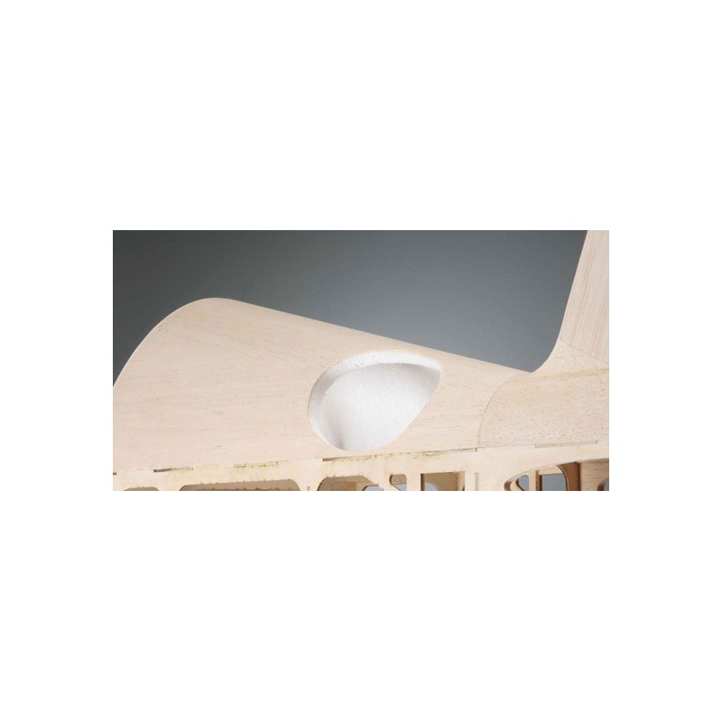 Extra 330S 160-Arf thermal airplane | Scientific-MHD