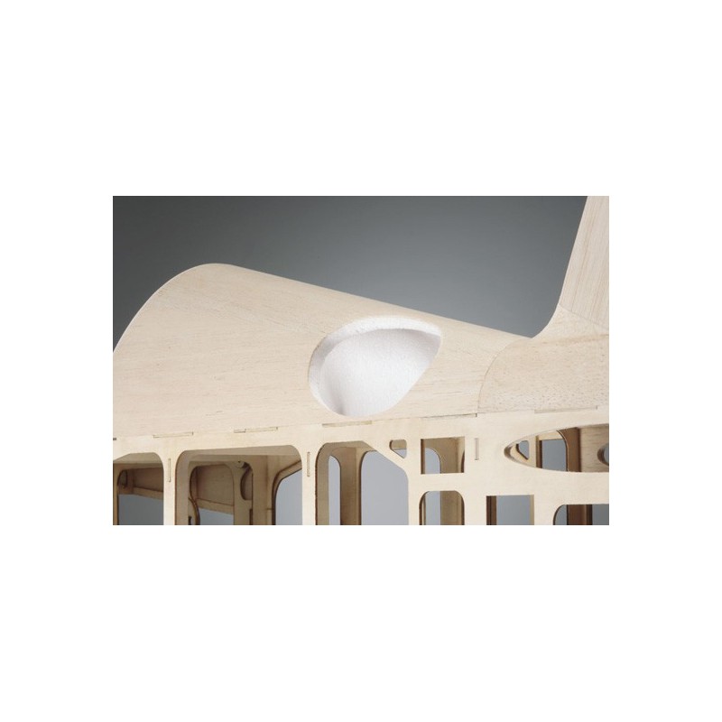 EDGE 540160 3D-ARF radio-controlled thermal airplane | Scientific-MHD