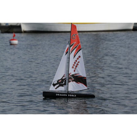 Dragon Dragon Force RG65 RTS V2 sailboat | Scientific-MHD
