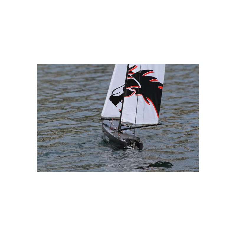 Dragon Dragon Force RG65 RTS V2 sailboat | Scientific-MHD