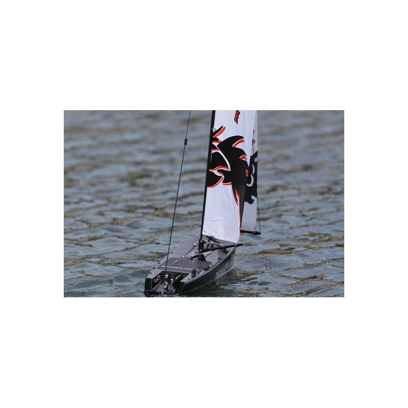 Dragon Dragon Force RG65 RTS V2 sailboat | Scientific-MHD