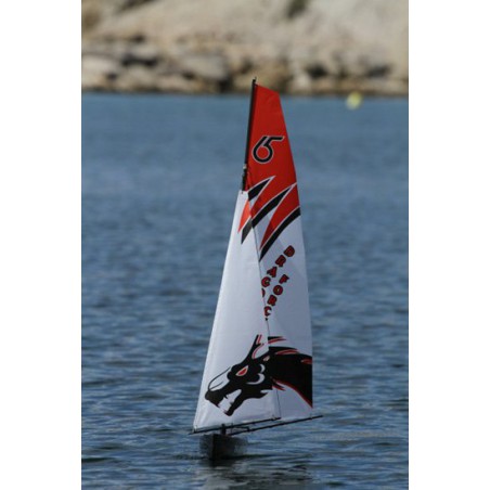 Dragon Dragon Force RG65 RTS V2 sailboat | Scientific-MHD