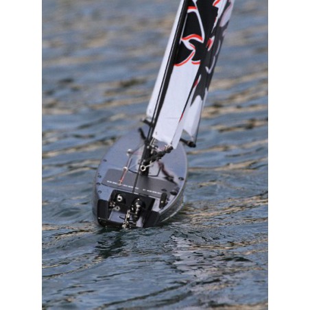 Dragon Dragon Force RG65 RTS V2 sailboat | Scientific-MHD