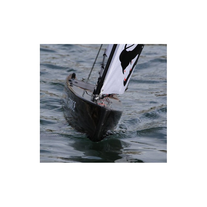 Dragon Dragon Force RG65 RTS V2 sailboat | Scientific-MHD