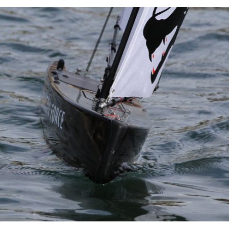 Dragon Dragon Force RG65 RTS V2 sailboat | Scientific-MHD