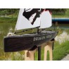 Dragon Dragon Force RG65 RTS V2 sailboat | Scientific-MHD