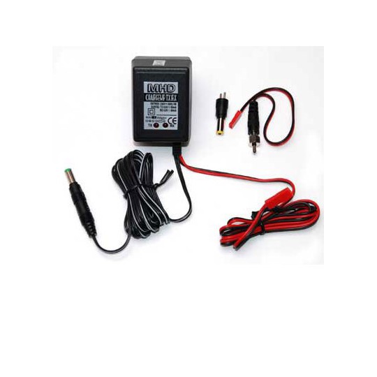 Charger for Radio Radio Radio Radio charger 220V charger | Scientific-MHD